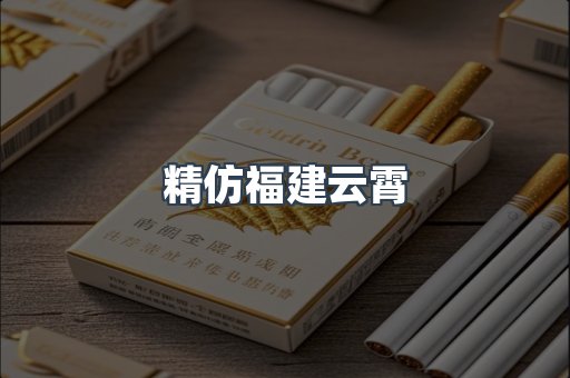 精仿福建云霄